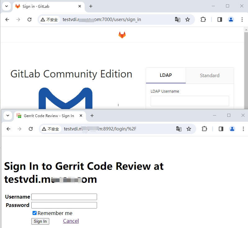 通过域名访问内部服务